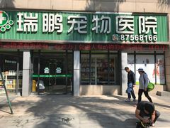 -瑞鹏·疫苗·绝育·宠物医院(金沙洲店)