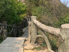 -梧桐山风景名胜区