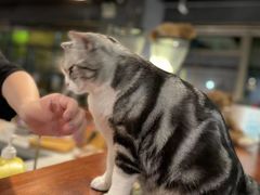 -咖法森林·咖啡  酒吧(天河店)