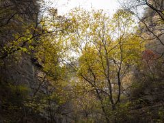 -龙洞风景区-藏龙涧