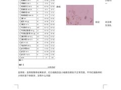 -佳雯宠物医院(金华南路分院)