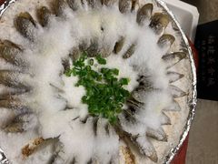 蛏子-福建美食城(老君堂店)