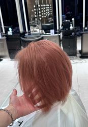 -BOF HAIR BY HONTO