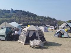 -羊山湖公园