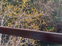 -钰园(水绘园店)