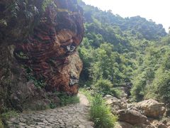 -南海湾森林生态园