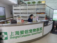 -爱侣宠医·鹦鹉专科·小型哺乳类·异宠专科(灵石路店)