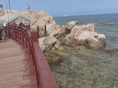 -养马岛旅游度假区