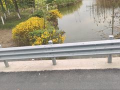 -金岛生态园烧烤露营地