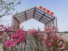 -十九峰景区-倒脱靴