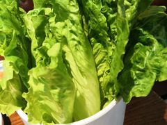 -·缸桶屋·韩式牛肋条自助烤肉(西湖D11店)