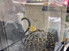 -西檬树SIMON·T轻奢蛋糕(大东方Max店)