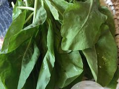 iphone_upload_pic-慢丽江·云南野生菌土鸡锅(付家庄店)