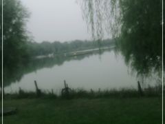 -灞河西岸滨河公园