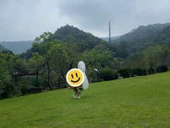 -桃花岭景区