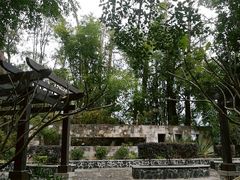 -广州市流溪河国家森林公园