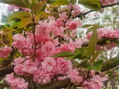 -白鹭湾湿地公园