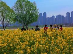-汉江湾体育公园