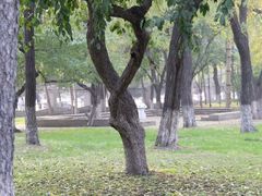 -辽宁大学(崇山校区)