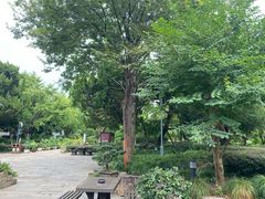 -东山雕花楼