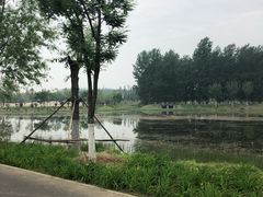 -东郊湿地公园