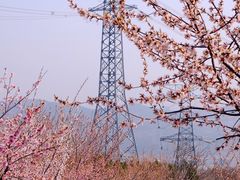 -定都阁
