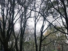 -WeLope紫金山探险公园