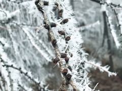 -硗碛藏寨·神木垒景区