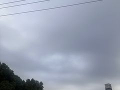 -圩墩遗址公园