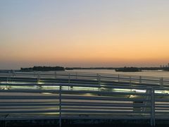 -贡湖湾湿地公园