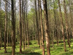 -小格里自然风景区