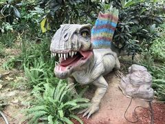 -北京呀路古热带植物园