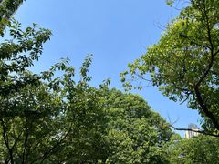 -白塘生态植物园