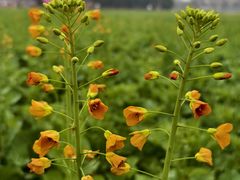 -中国天府农业博览园