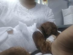 -中农大我爱我爱24h动物医院·中医针灸·猫专科·骨科医疗中心(双井店)