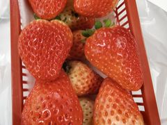 -八合里潮汕鲜牛肉火锅(上海汇智广场店)