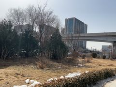 -布歌东京(合生汇店)