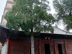 -大慈恩寺(大雁塔)