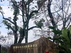 -江心屿景区
