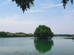 -尚湖风景区