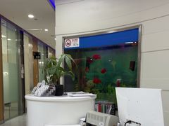 -雅悦齿科(顾村公园店)