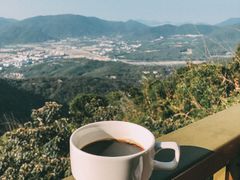 -亚龙湾热带天堂森林公园