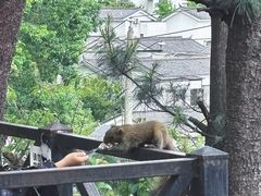 -大理苍山石门关旅游度假区