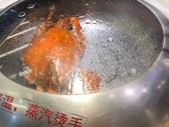 -船梆煮•蒸汽海鲜·炉火烤肉(五四广场店)