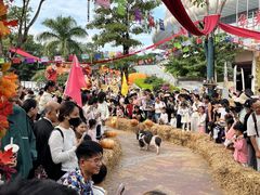 -灵玲国际马戏城