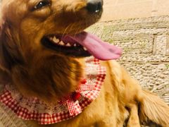 -浔岚云舍mist静谧观景美宿(丽江古城店)