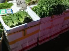 -江汉区姑嫂树菜市场