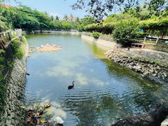 -三亚蜈支洲岛旅游区