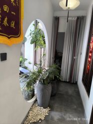 -牛大夫植发