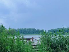 -东郊湿地公园